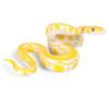 1PCS Fake Snake, Rubber Snake for Fool Day Pranks Halloween, Snakes Toy to Keep Birds Away view 1