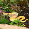 1PCS Fake Snake, Rubber Snake for Fool Day Pranks Halloween, Snakes Toy to Keep Birds Away view 4