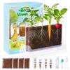 TitaniX Root Viewer Kit for Kids with 4 Seed Varieties, STEM Science Toy & Craft Growing Kits for Boys & Girls, Grow Your Own Plant for Ages 4-8 Birthday Gifts for Boy,4, 5, 6, 7, 8, Year Old view 1
