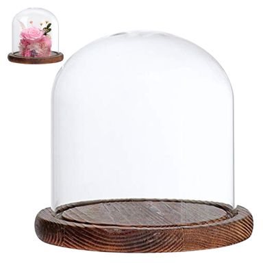 Vistnale Glass Display Dome|Glass Dome with Base Transparent 3.5x4.7inch Dustproof Retro Display Home Tabletop Coffee Shop Cloche for Flower Doll Figurine