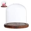 Vistnale Glass Display Dome|Glass Dome with Base Transparent 3.5x4.7inch Dustproof Retro Display Home Tabletop Coffee Shop Cloche for Flower Doll Figurine view 1
