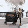 Keenz Viva 4-Passenger Compact Stroller Wagon for Kids with Foldable Frame, Push/Pull Handle, EVA Wheels, and Mosquito Net Canopy  Lightweight Wagon for Families, Black view 2