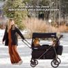 Keenz Viva 4-Passenger Compact Stroller Wagon for Kids with Foldable Frame, Push/Pull Handle, EVA Wheels, and Mosquito Net Canopy  Lightweight Wagon for Families, Black view 4