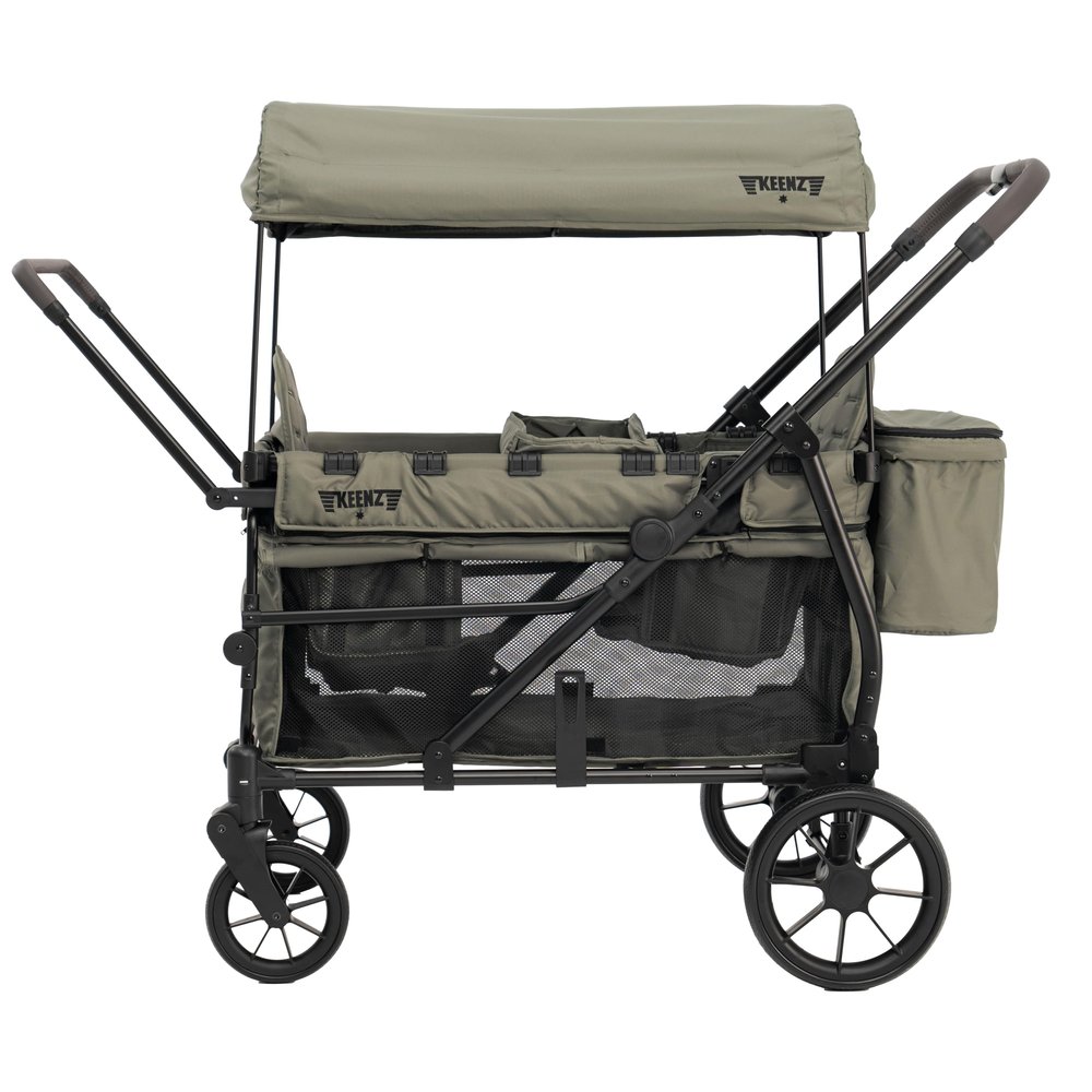 Keenz Viva 2-Passenger Compact Foldable Stroller Wagon with Canopy, Hybrid Push Pull Handle, EVA Wheels, and Storage  Lightweight Stroller Wagon for Toddlers and Kids, Green