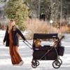 Keenz Viva 2-Passenger Compact Foldable Stroller Wagon with Canopy, Hybrid Push Pull Handle, EVA Wheels, and Storage  Lightweight Stroller Wagon for Toddlers and Kids, Black view 2