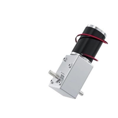 RXDNOZNNK 12V Bracket 120RPM 5882-50ZY Worm Gear Reduction Electronic Starter Forward and Reverse Adjustable Speed Dual Output