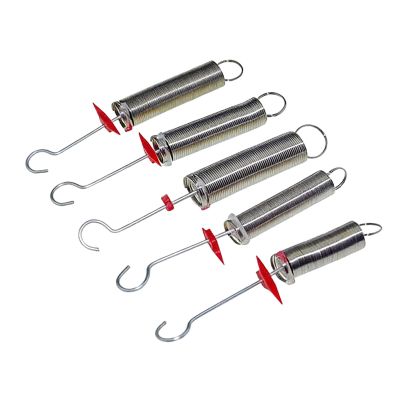 5-Piece Hookes Law Experiment Set, Spring Physics Teaching Aid Kit, for Demonstrating Force, Motion & Elasticity in Classroom or Home Education