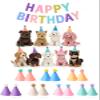 Fiestivo 14pcs Mini Party Hats for Stuffed Animals with Banner, Felt Cloth Adjustable Mini Birthday Hats for Dolls Dog Cat Rabbit Puppies Assorted Animal Birthday Decorations view 1