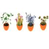 Toys By Nature Mini Terrarium 7 Variations Bundle, 100% USA Made Complete Starter Kit with Different Plants, Low Maintenance and Fun Plant Terrariums Just Add Water to Grow view 2