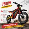 Electric Dirt Bike for Kids 5+, 750W Power 16"*4" Fat Tire for Off-road view 2