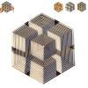 2026 Premium Hexagon Twist Illusion, 3D Printed Hexagonal Fractal Fidget Gadget, The Twist Illusion Sensory Gadget, Stress Relief Pocket Toy, Office Desks As A Stress-Relief Gifts (03#) view 1