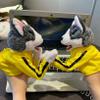 Dog Hand Puppet Kung Fu Husky Soft Soundable Boxing Hand Interactive Puppet Toddler Washable Plush Battle Boxing Husky Toys view 4