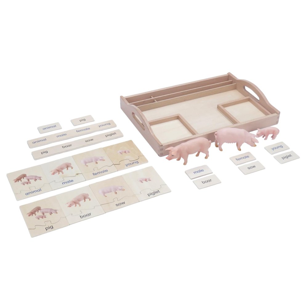 ancona Pig Famliy, English/Simplified Chinese with Pinyin Bilingual, Montessori Preschool Memory Matching Game Box Set with Animal Figurines & Matching Puzzle Cards, Early Education Toy