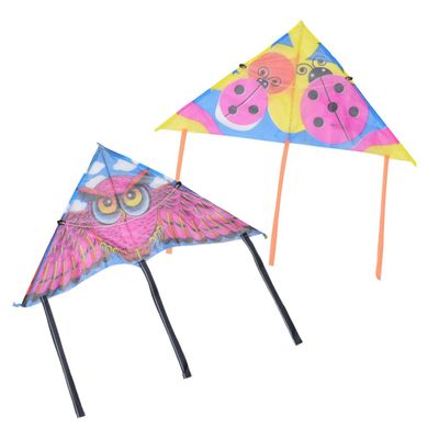 10pcs 60cm Waterproof Brim Triangle Kites for Outdoor Flying Cartoon Style Suitable for Park Garden Play Style