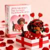 2026 Valentines Day Exclusive Dachshund Brick Set, Upgrade DIY 3D Dachshund Building Block Set, Cute Dachshund Dog Building Toy Sets, Heart-Shaped Design, for Dog Lovers, Valentines Day (1pcs) view 2