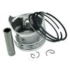 MLYABMGL EY28 Piston Kit Fit for EY28 view 1