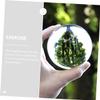 Beaupretty Acrylic Crystal Juggling Ball 8cm Contact Juggling Equipment for Beginners Professional Illusion Performance and Stage Prop view 3