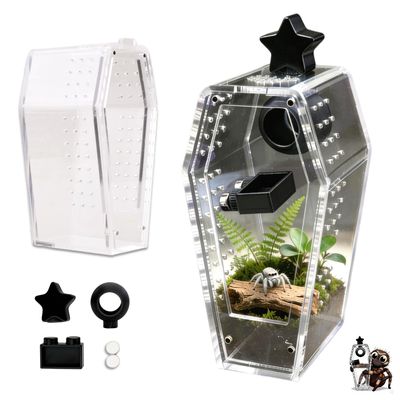 Jumping Spider Enclosure Jumping Spider Enclosure Kit Desktop Habitat Small Reptile Glass Terrarium Insect Accessory Set with Water Container Hiding Area(Black)