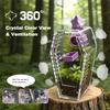 Jumping Spider Enclosure Jumping Spider Enclosure Kit Desktop Habitat Small Reptile Glass Terrarium Insect Accessory Set with Water Container Hiding Area(Black) view 4