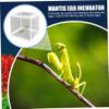 2Pcs 6.3x5.9x5.5 Inch Praying Mantis Egg Case Habitat Incubator for Tarantulas Spiders Snails Crickets Ants view 4