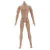 1/6 Scale Action Figure Multi Jointed Movable Male Muscular Action Figure Body for Display Doll Collection Medium 1/6 Scale Body Custom Figures. view 1