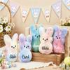 2026 Personalized Peep Bunny Plush,Custom Easter Bunny with Name,Soft Easter Basket Stuffer,Easter Gifts for Girls Boys view 2