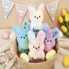 2026 Personalized Peep Bunny Plush,Custom Easter Bunny with Name,Soft Easter Basket Stuffer,Easter Gifts for Girls Boys view 4