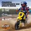 24V Kids Electric Dirt Bike - 250W Electric Motorcycle, 11 Mph Max Speed Electric Mini Dirt Bike with Music, 10 Miles Range, Twist Grip Throttle, Metal Suspension, Rubber Tire (Yellow, with Cover) view 2