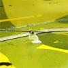 100/200sets Four-Hole Rudder Adjuster+Quick-Adjust Foam Joystick+Collet Aircraft Model Parts(Rudder arm,100set) view 3