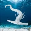 3D Printed Sea Monster Toy, Trevor Henderson Mythical Ocean Predator Model, Highly Detailed Collector Art Piece for Horror Fans, Unique Deep Sea Creature Sculpture (White Spectral Leviathan) view 2