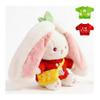 5Pcs Bunny Plush with Clothes & Accessories, Cute Bunny Stuffed Animal Reversible, Strawberry Carrot Bunny Transformed Rabbit Plush Zipper Soft Doll Easter Birthday Party Gift (5PCS Set Strawberry) view 1