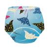 SLHKPNS Potty Training Underwear 3 Packs Colorful Stingrays Swimming Toilet Training Pants for Toddler Girls Boys,2T view 3