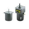 15W Micro AC Motor 110v 220v Single Phase Asynchronous Gear 10mm Shaft 6RPM-1400RPM 50/60hz for Packaging(220v,48 RPM) view 1
