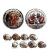 2026 Journey of Peace Mission Commemorative Coin, 2026 Peace Mission Journey Commemorative Coin, Historic 2,300-Mile Pilgrimage Souvenir, for Collectors and Mission Supporters (5Pcs,#G) view 1