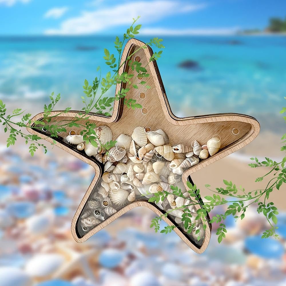 2PCS Sea Shell Display Box Wooden Starfish Holder with Acrylic Panel Storage Box for Mini Shells Small Starfish Shark Tooth Seashell Collection Box Home Decor Birthday Gift