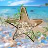2PCS Sea Shell Display Box Wooden Starfish Holder with Acrylic Panel Storage Box for Mini Shells Small Starfish Shark Tooth Seashell Collection Box Home Decor Birthday Gift view 1