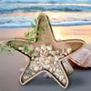 2PCS Sea Shell Display Box Wooden Starfish Holder with Acrylic Panel Storage Box for Mini Shells Small Starfish Shark Tooth Seashell Collection Box Home Decor Birthday Gift view 2