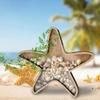 2PCS Sea Shell Display Box Wooden Starfish Holder with Acrylic Panel Storage Box for Mini Shells Small Starfish Shark Tooth Seashell Collection Box Home Decor Birthday Gift view 3
