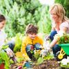 Kids Gardening Set 4Pcs/Set Mini Ergonomic Toddler Gardening Portable Vibrant Rounded Corner Educational Kids Tools for Outdoor view 2