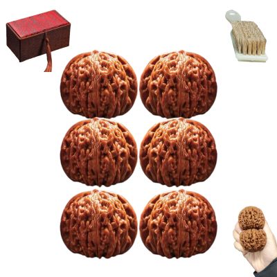 2026 New Wenwan Walnuts,Chinese Walnuts Fidget,Walnut and Massage Stress Relief Health Care Ball Toy for Stress (6pcs)
