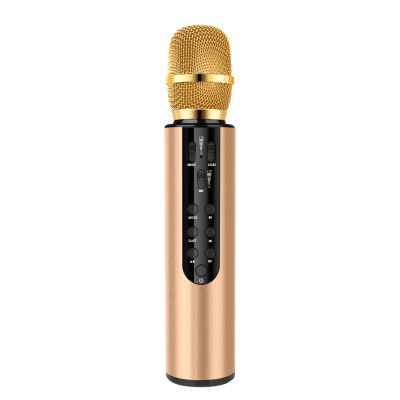 LUCKDANO Handheld Karaoke Microphone, Miniature Microphone for Kids, Home KTV Player, Essential for Family Parties, HighFidelity Sound Quality (Gold)