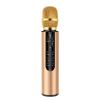 LUCKDANO Handheld Karaoke Microphone, Miniature Microphone for Kids, Home KTV Player, Essential for Family Parties, HighFidelity Sound Quality (Gold) view 1