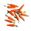 10Pcs Miniature Carrot Models, Artificial Vegetables for Mini Kitchen Decoration, Party Supplies view 1