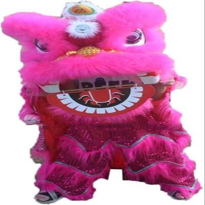 14 Inch Lion Dance Mascot Costume, Chinese Traditional Dragon Lion Dance for Party Carnival Festival(I)