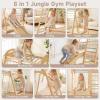 OLAKIDS Indoor Jungle Gym, 8 in 1 Wooden Montessori Toddler Climbing Toys with Adjustable Ramp Swing Slide, Monkey Bar Rope Ladder Waiting Area (Colorful) view 3