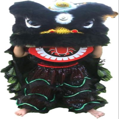 14 Inch Lion Dance Mascot Costume, Chinese Traditional Dragon Lion Dance for Party Carnival Festival(F)