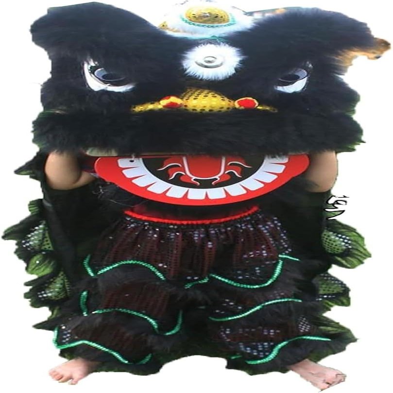 14 Inch Lion Dance Mascot Costume, Chinese Traditional Dragon Lion Dance for Party Carnival Festival(F)
