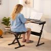 61 Key Electronic Keyboard with Speaker,Piano Keyboard for Kids Beginner,300 Tones Rhythms Digital Keyboards Piano, Beginner Learning Keyboards,Headphone,Microphone,Music Stand, Stool, Black USA view 2