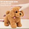 Hopearl Walking Teddy Dog Interactive Electronic Pet Plush Toy Puppy Woof and Moving Animated Nodding Head Gifts for Toddlers Birthday, Brown, 7'' view 3