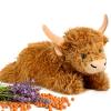 Highland Cow Stuffed Animals with Removable Microwave Heating Pad for Period Cramps Pain, Stress Relief, Weighted Stuffed Animals Lavender Scented Cow Plush for Sooth & Relax, Highland Cow Gifts view 1